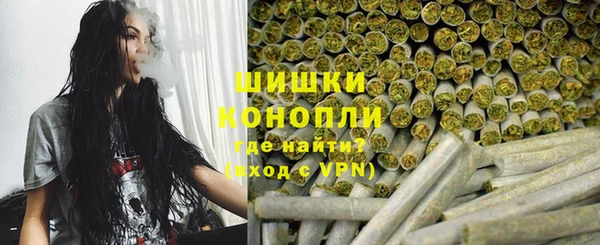 стафф Медногорск