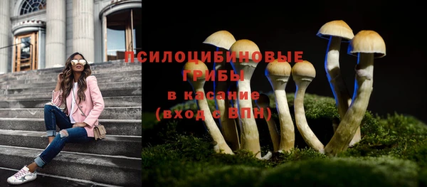 стафф Медногорск