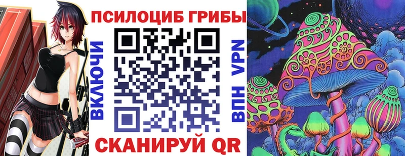 Галлюциногенные грибы GOLDEN TEACHER купить закладку Химки