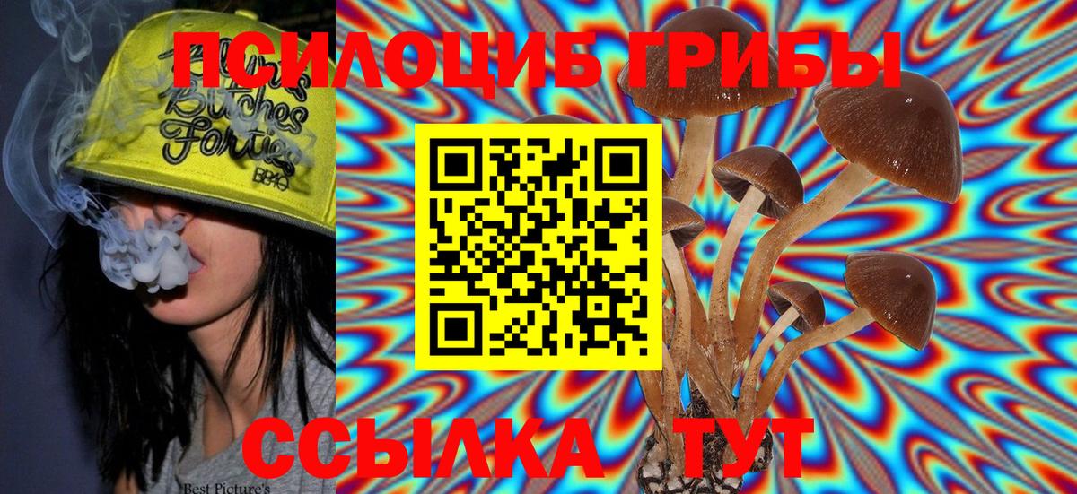 Галлюциногенные грибы MAGIC MUSHROOMS Химки